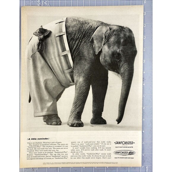 Sanforized Plus Pants Wrinkled Elephant wears unwrinkled pants Vtg Print Ad 1963 - Picture 2 of 3